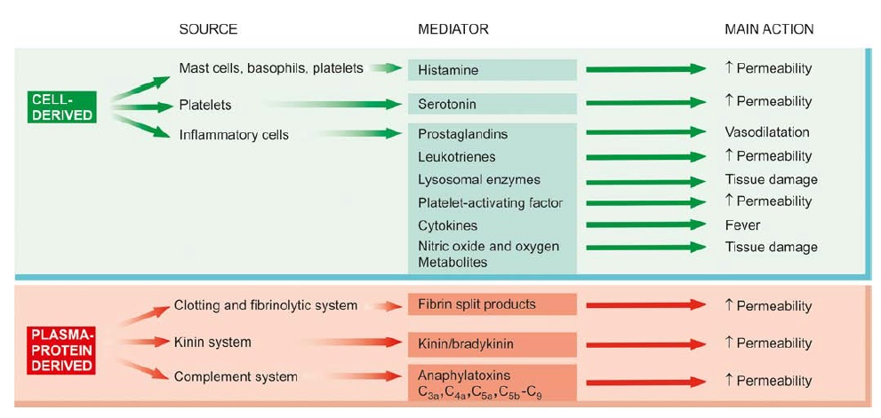 hydrostatic and osmotic pressure