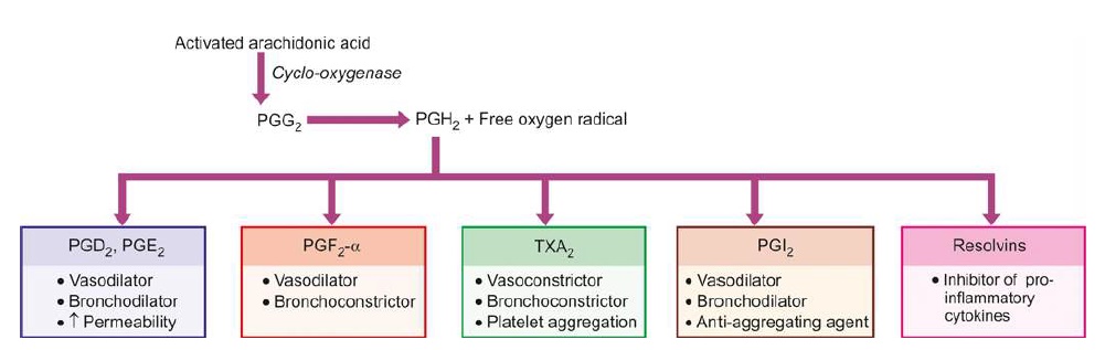 hydrostatic and osmotic pressure