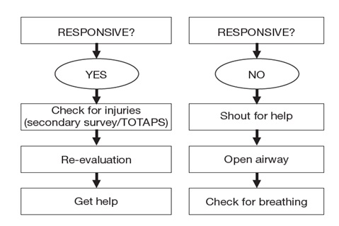 onfield injury management