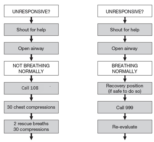 onfield injury management