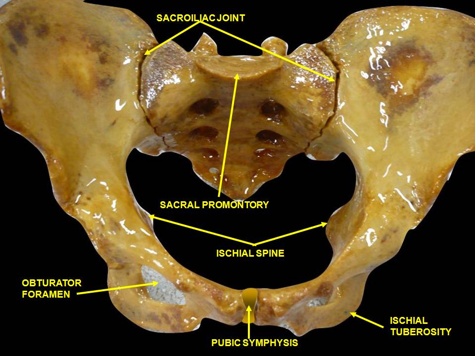 Treatment_for_sacroiliac_dysfunction